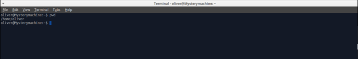 terminal_pwd
